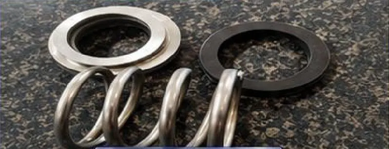 APV pump mechanical seal with springs and seal rings